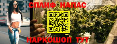 молекула духа Нальчик
