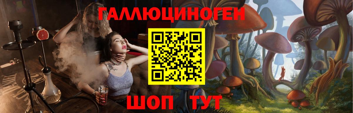 Галлюциногенные грибы Psilocybine cubensis  дарнет шоп  Ивантеевка 