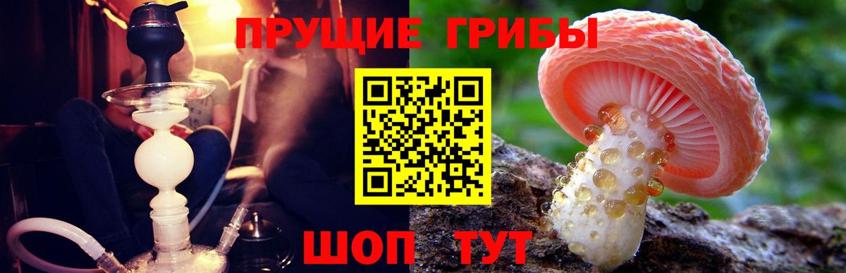 Псилоцибиновые грибы ЛСД Ивантеевка